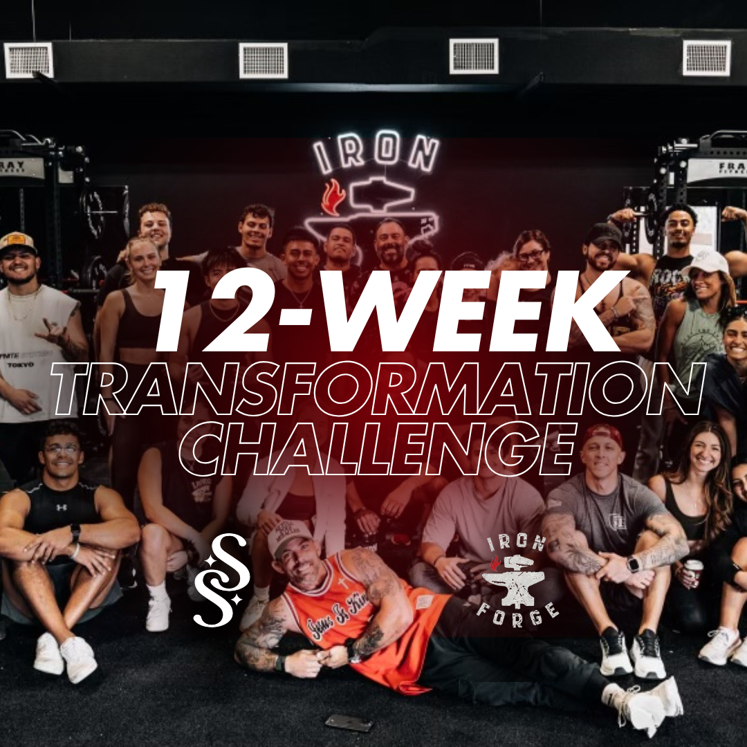 IRON FORGE: ONLINE 90-Day Transformation Challenge ($77)